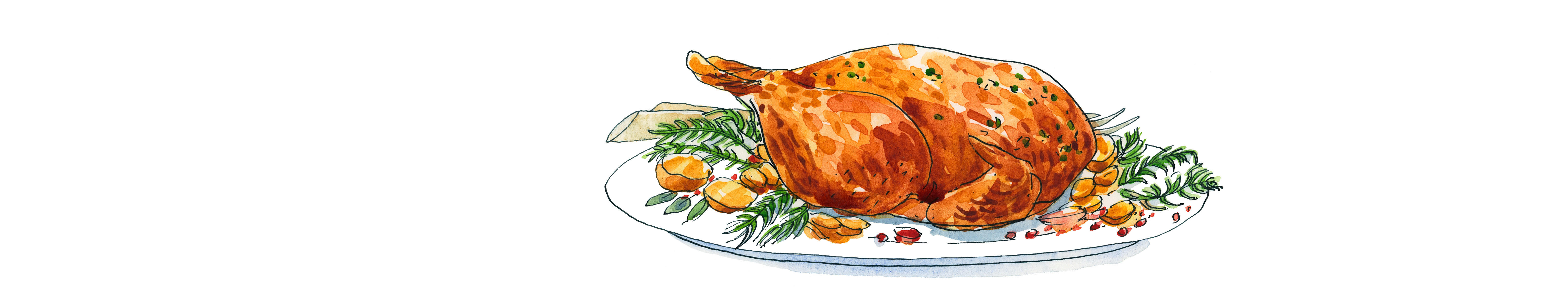 Wines to pair with turkey