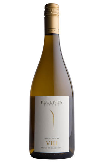2012 Pulenta Estate Chardonnay, Mendoza