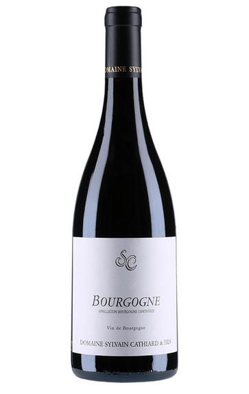 2009 Bourgogne Rouge, Domaine Sylvain Cathiard