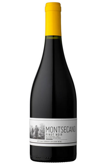 2009 Montsecano Pinot Noir