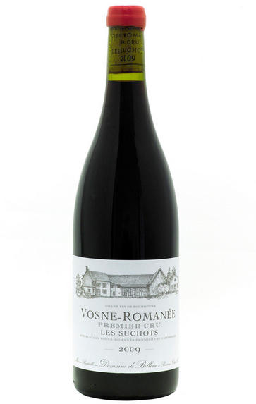 2009 Vosne-Romanée, Les Suchots, 1er Cru, Domaine de Bellene, Burgundy