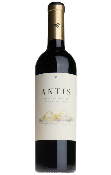 2010 William Fèvre, Antis, Maipo Valley, Chile