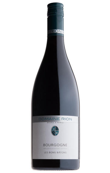 2011 Bourgogne, Les Bons Bâtons, Domaine Michèle & Patrice Rion, Burgundy
