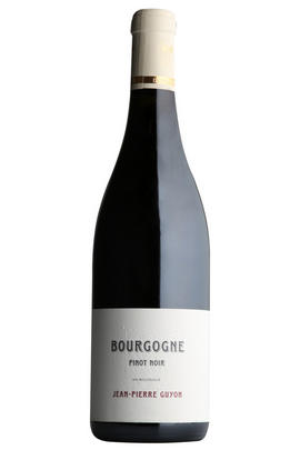 2013 Bourgogne Rouge, Domaine Guyon