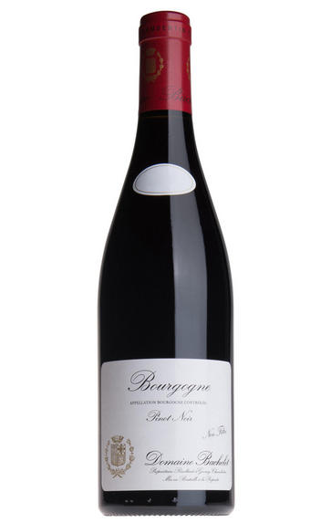 2013 Bourgogne Rouge, Domaine Denis Bachelet