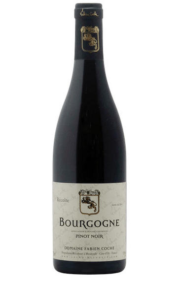 2016 Bourgogne Cote d'Or, Pinot Noir, Domaine Coche-Bizouard