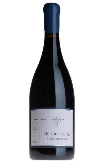 2016 Bourgogne Pinot Noir, Domaine Arnaud Ente
