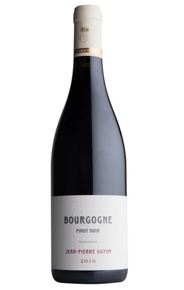 2016 Bourgogne Rouge, Domaine Guyon