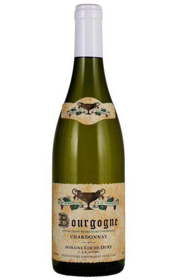 2016 Bourgogne Chardonnay, Domaine Coche-Dury