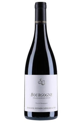 2017 Bourgogne Rouge, Domaine Sylvain Cathiard