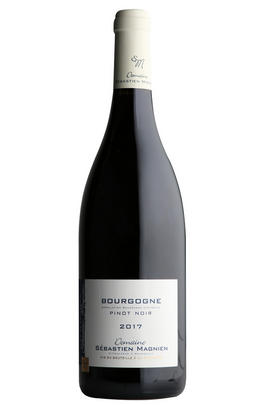 2017 Bourgogne Pinot Noir, Domaine Sébastien Magnien