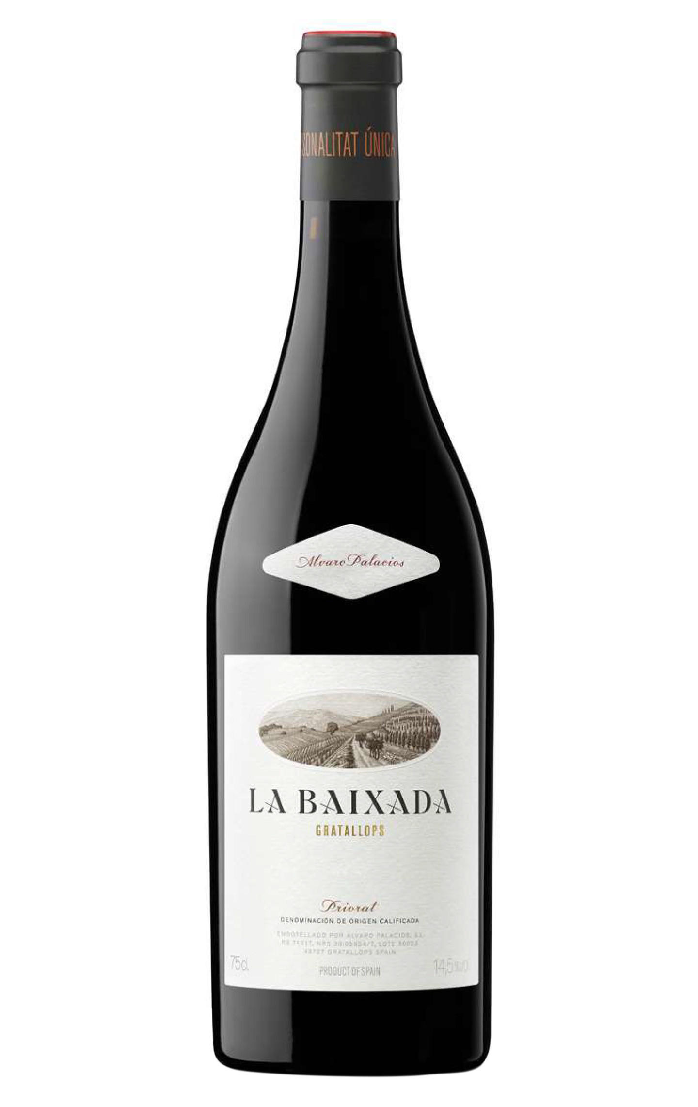 LES AUBAGUETES 2019 赤ワイン 750ml LES AUBAGUETES 2019 赤ワイン 750ml 2019 アルバロ・パラシオス・レス