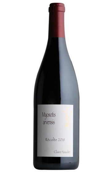 2019 Bourgogne Hautes-Côtes de Nuits, Myosotis Arvensis, Naudin Ferrand