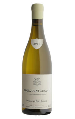2019 Bourgogne Aligoté, Paul Pillot, Burgundy
