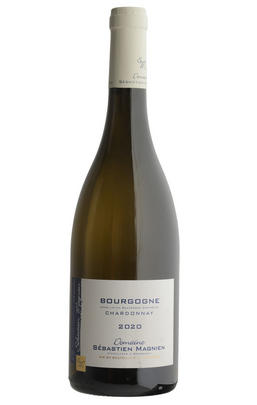 2020 Bourgogne Blanc, Domaine Sébastien Magnien