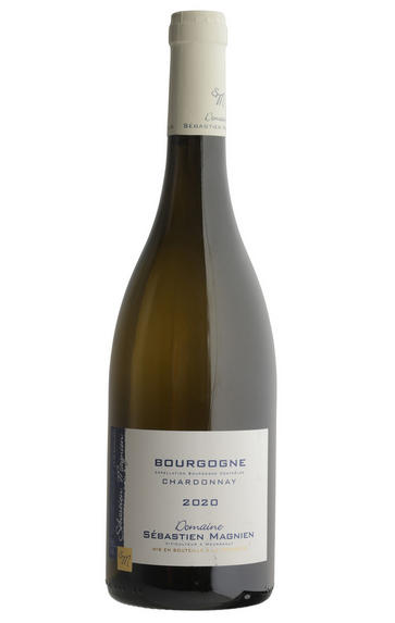 2020 Bourgogne Blanc, Domaine Sébastien Magnien
