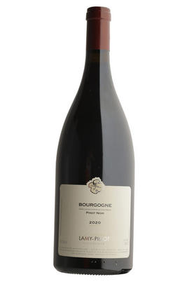 2020 Bourgogne Pinot Noir, Domaine Lamy-Pillot