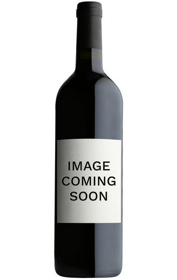 2020 Bourgogne Pinot Noir, Charles Van Canneyt