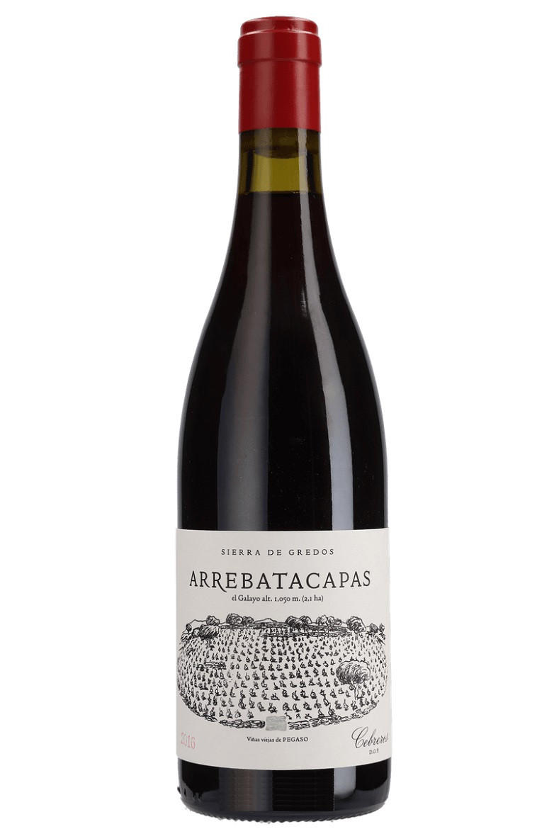 2021 Pegaso Arrebatacapas, Telmo Rodríguez, Cebreros, Spain