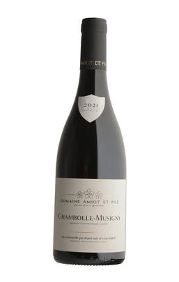 2021 Chambolle-Musigny, Domaine Amiot & Fils, Burgundy
