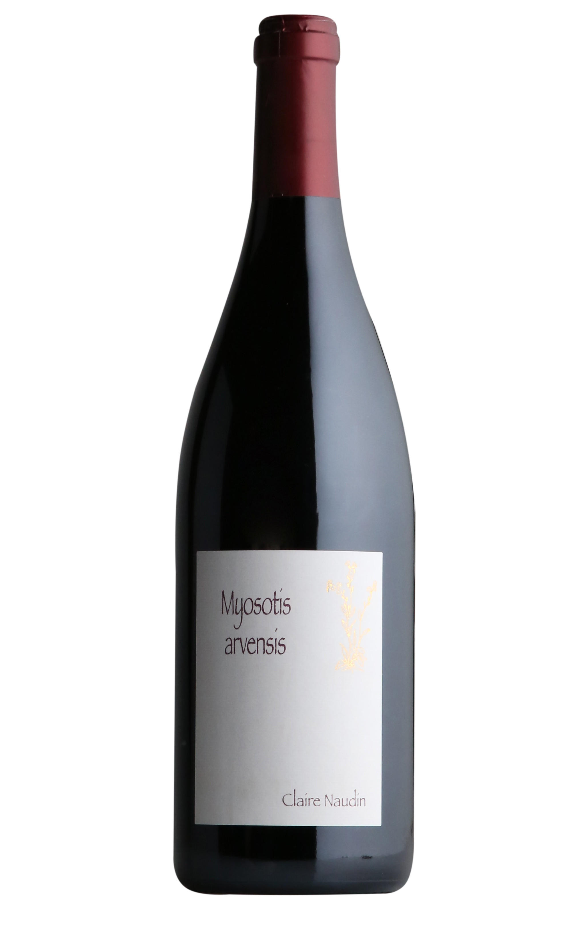 2022 Bourgogne Hautes-Côtes de Nuits, Myosotis Arvensis, Claire Naudin