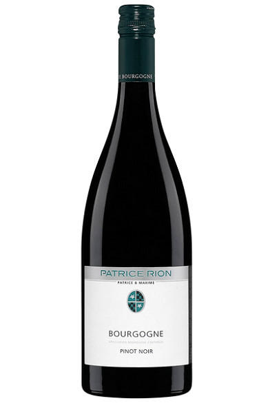 Bourgogne Pinot Noir, Patrice & Maxime Rion, Burgundy 2023 bottle
