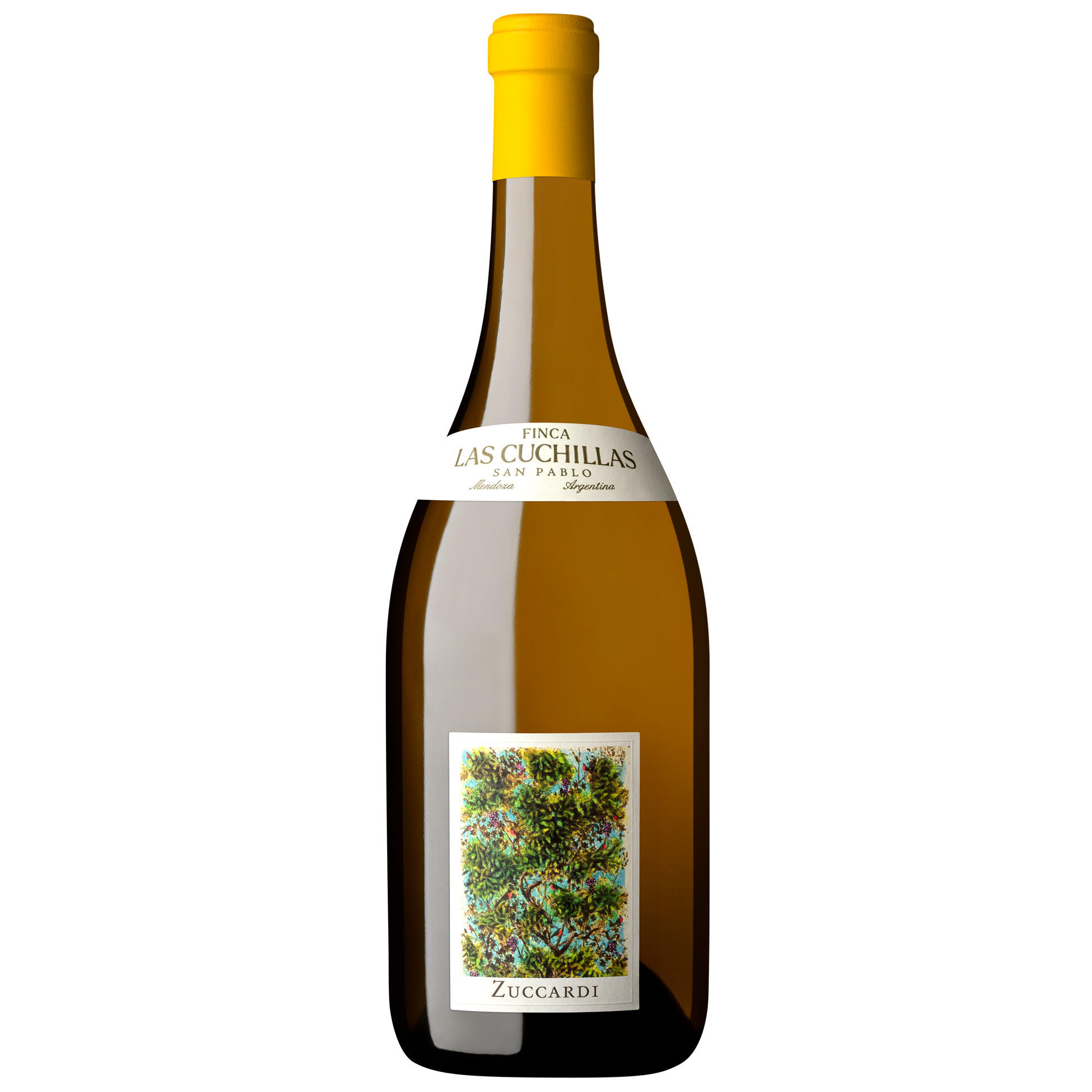 Familia Zuccardi, Finca Las Cuchillas, Chardonnay, San Pablo, Mendoza, Argentina 2023 bottle