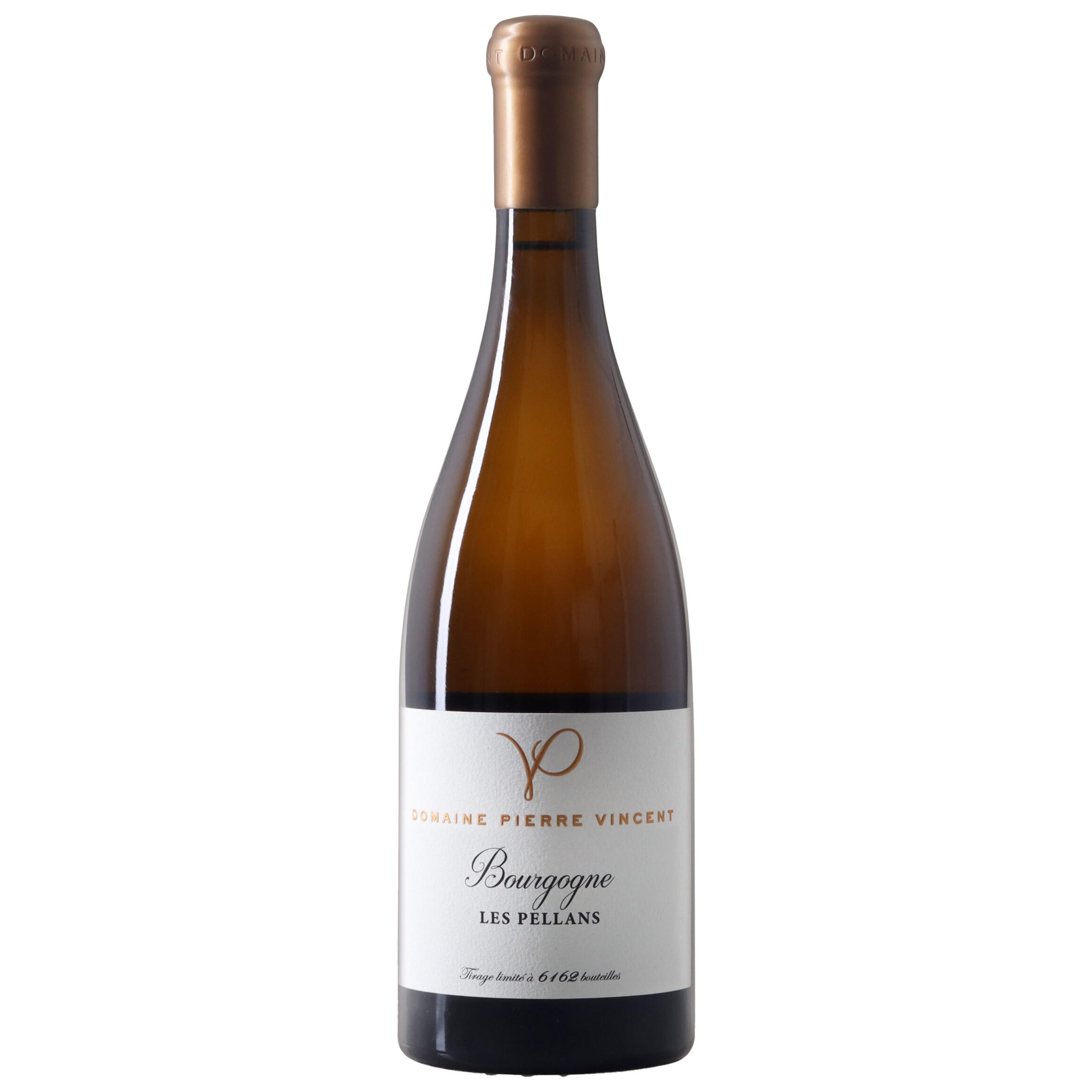 2024 Bourgogne Aligoté, Domaine Pierre Vincent