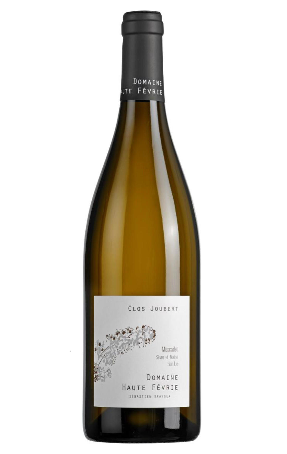 Muscadet Sèvre et Maine sur Lie, Clos Joubert, Domaine Haute Févrie, Loire 2024