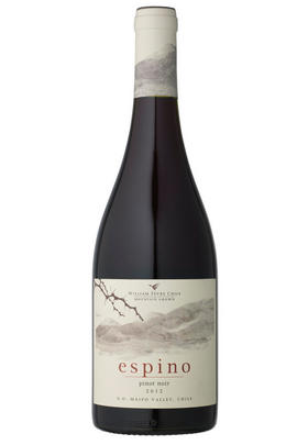 2012 William Fèvre Espino Pinot Noir, Pirque, Maipo Valley