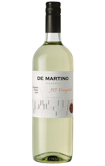 2013 De Martino 347 Vineyards Sauvignon Blanc, Casablanca Valley
