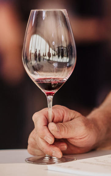 One-Day Introductory Wine School, Saturday 18th July 2020