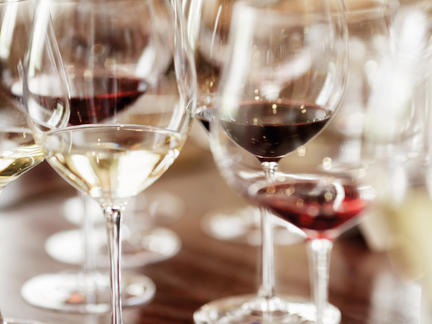 One Day Introductory Wine School, Saturday 8th February 2020