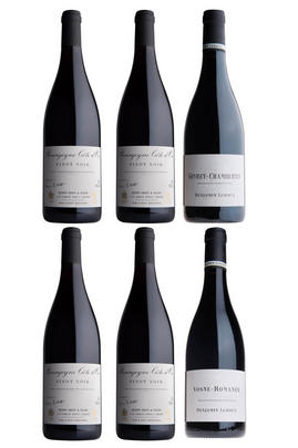 Benjamin Leroux Pinot Noir Selection, Six-Bottle Mixed Case