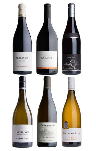 Bourgogne Selection, Six-Bottle Mixed Case