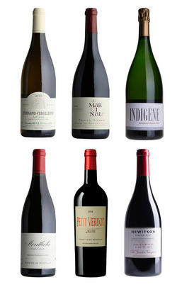 Eclectic and Unexpected, Six-Bottle Mixed Case