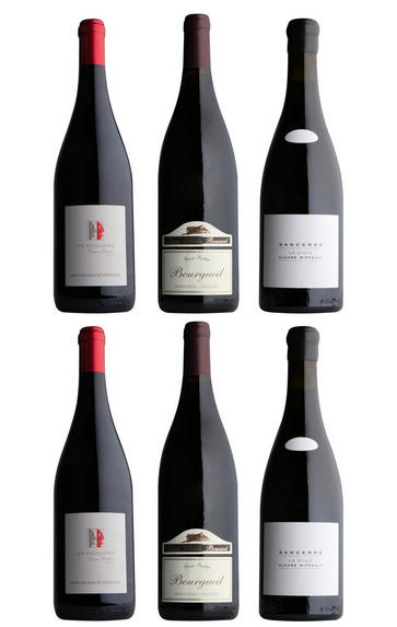 Loire Valley Reds: Six-Bottle Mixed Case