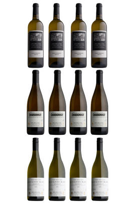 The Dinner Party Collection: White, 12-Bottle Case