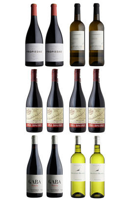 Explore Spanish Wine, 12-Bottle Case