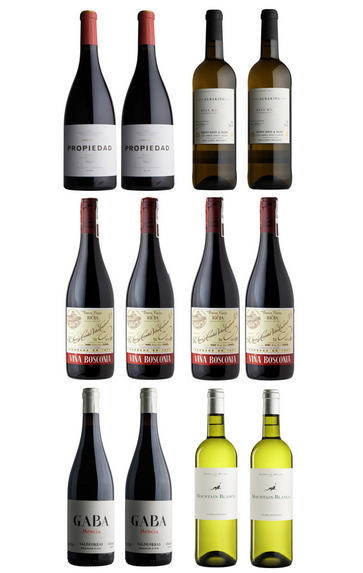 Explore Spanish Wine, 12-Bottle Case