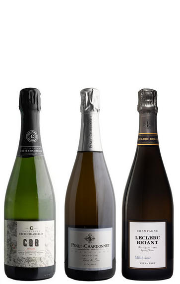 Artisan Champagne, Three-Bottle Mixed Case