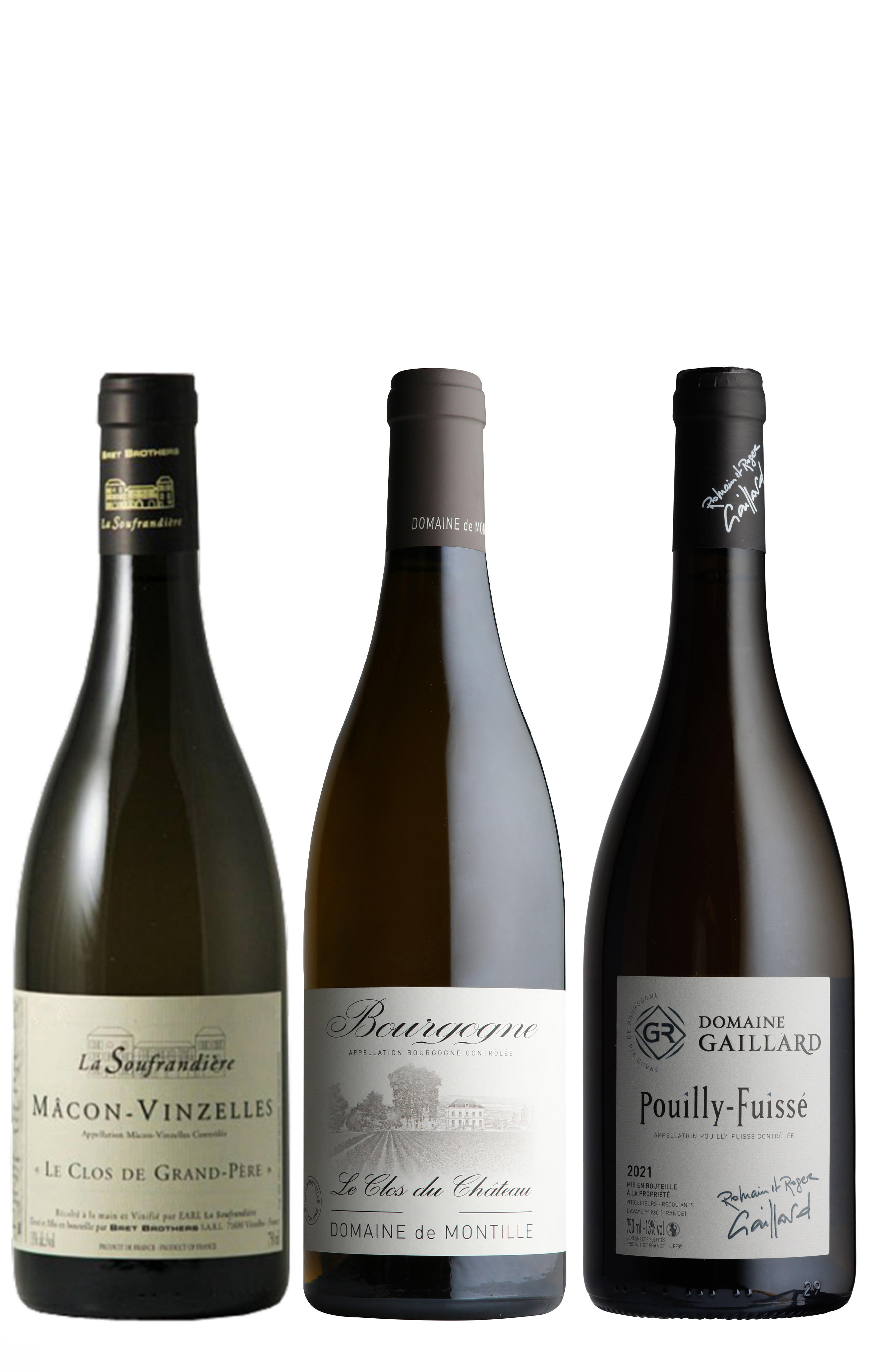 Introduction to 2020 Burgundy, Three-Bottle Mixed Case