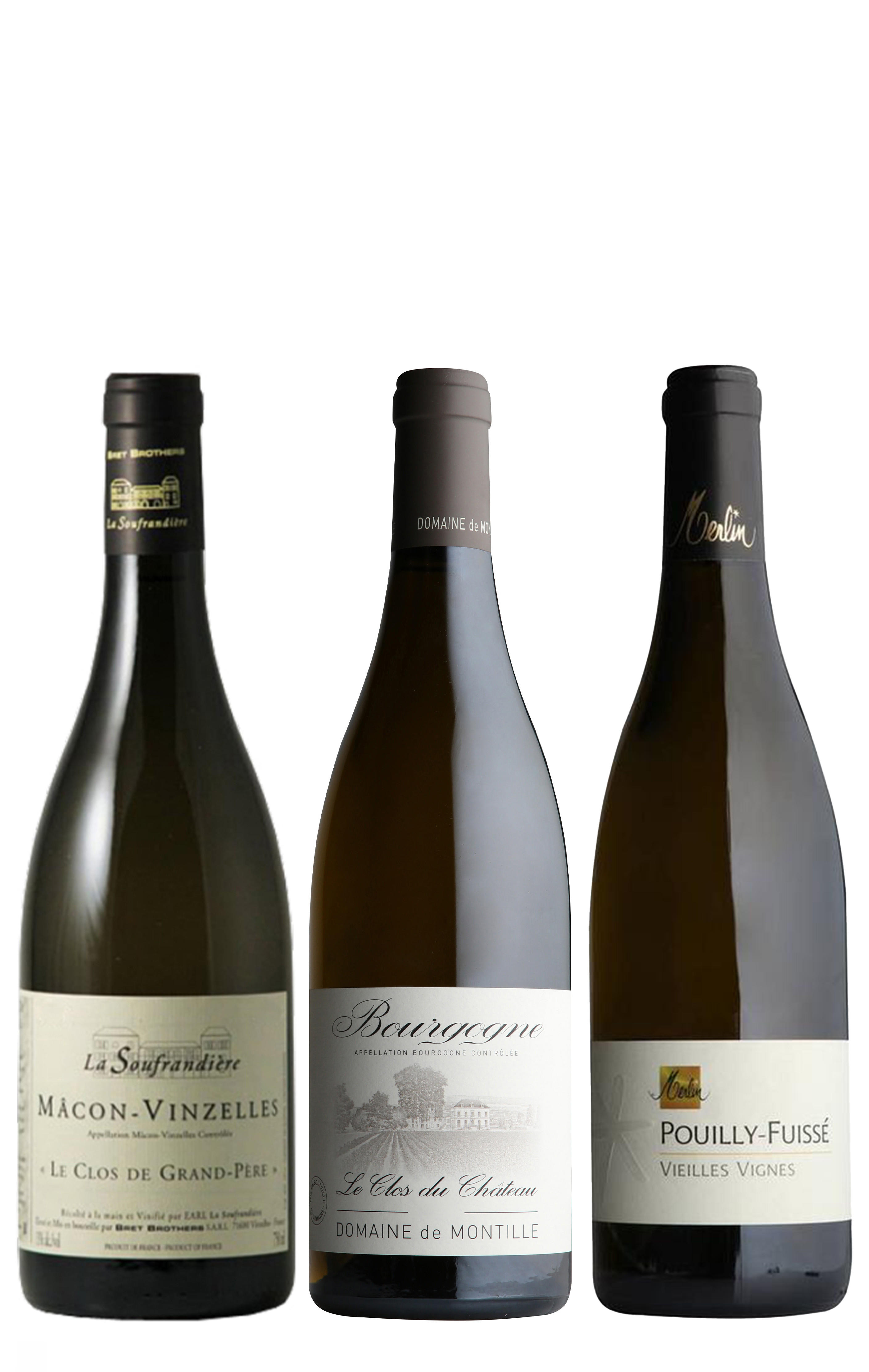 Introduction to White Burgundy, Three-Bottle Mixed Case