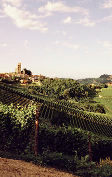 Wines of Piedmont, Wednesday 15th July 2020