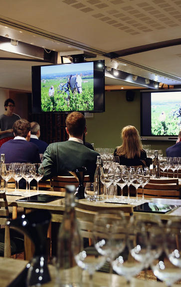 WSET Level 3 Award in Wines, April to July 2020