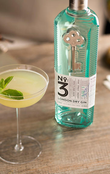 Gin: Everything You Need to Know, Friday 25th June 2021
