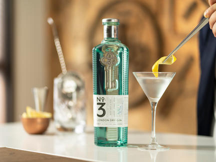 Introduction to Gin, Friday 12th March 2021