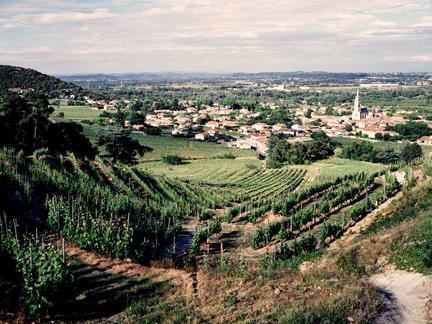 Explore the vintages of the Rhône Valley - Wines & Tuition, Wednesday 10th March 2021