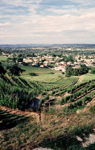 Explore the vintages of the Rhône Valley - Tuition only, Wednesday 10th March 2021