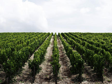 Bordeaux ’20 with Mark Pardoe MW: Pomerol and St Emilion, Thursday 27th May 2021